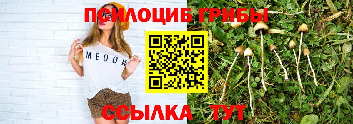 Серпухов  Галлюциногенные грибы прущие грибы  Вход с VPN  Псилоцибиновые грибы прущие грибы 
